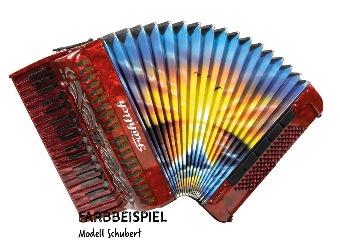 Fröhlich Akkordeon Haydn Premium Line mit Motiv M5 - Flame
